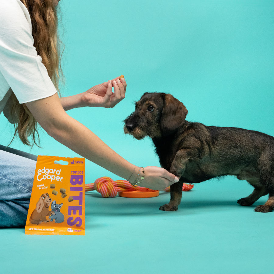 Edgard & Cooper Snacks Mini de Salmão e Frango para cães , , large image number null